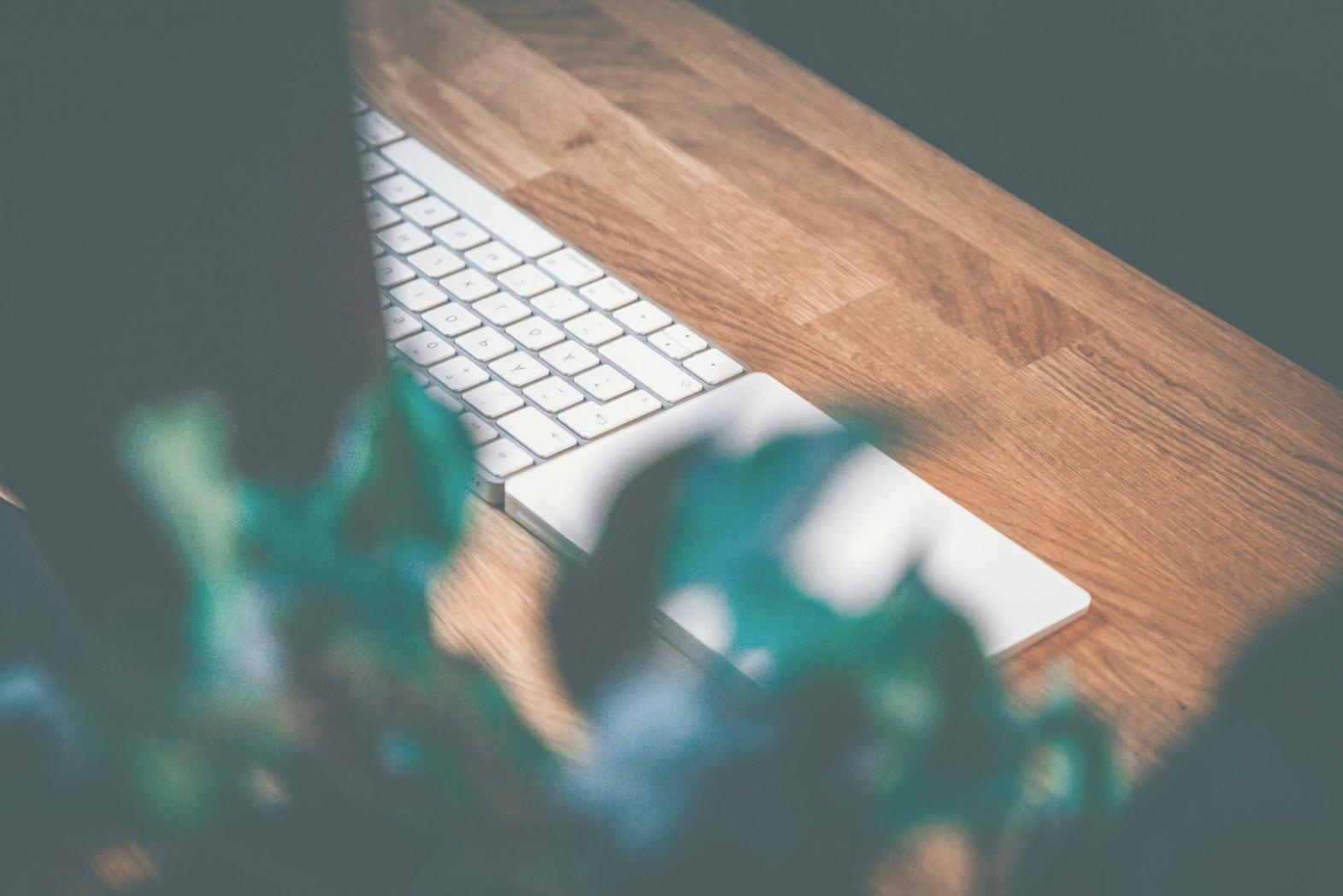 Séance de formation interactive avec participants engagés